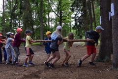 r321d-364