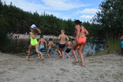 r321d-393
