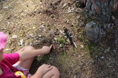 362660631_728442312623882_5572020822497615874_n