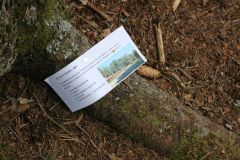 362889749_727817832686330_4368996741428026787_n