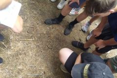 362638992_727852022682911_8507989659898754619_n