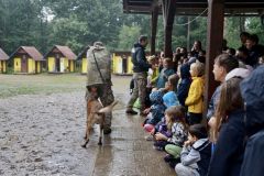 364775514_739829101485203_5850063787153143707_n