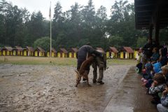 364789497_739828871485226_1748560510029925692_n