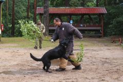 366815133_739810774820369_7325217258447186083_n