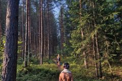 370467354_748419097292870_2913965221505127895_n