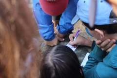 454520195_987409820060462_861934501218471294_n