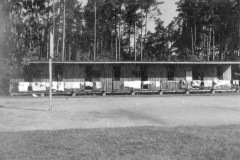 46.-1944-6