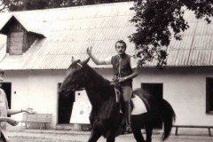 46